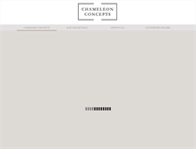 Tablet Screenshot of chameleonconcepts.com
